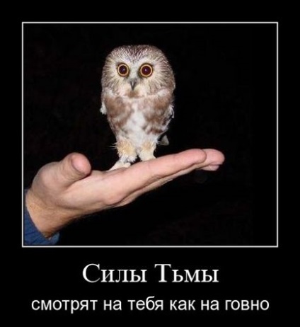 А ти знаєш, що ще вміє в ліжку твоя наречена (з добірки демотиваторів за 27 липня 2011 року)