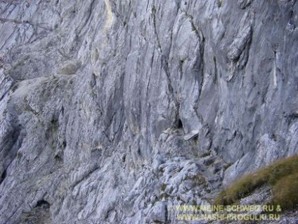 Bajor Alpok járni, kilátással a Zugspitze