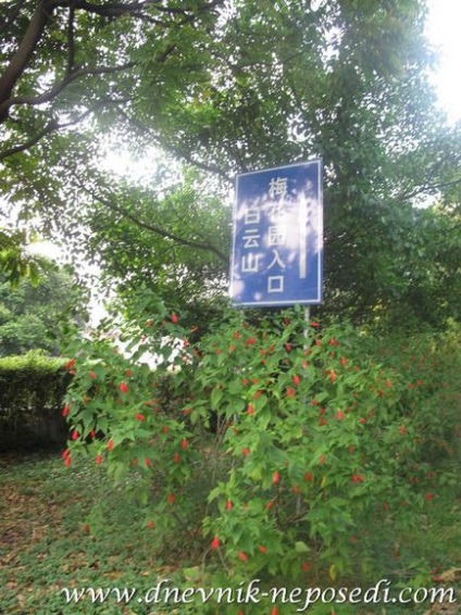 Біла гора baiyun mountain в Гуанчжоу (китай), щоденник непосиди