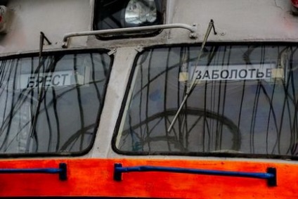 Білоруси атакують українські ринки репортаж з «шоп-туру» в прикордонному Заболоття - новини і