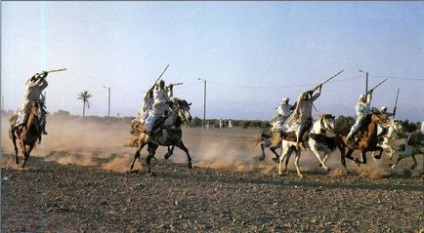 Berber fajta lovak - háziállatok (berber fajta berberek fajta története berber lófajta leírása berber ló) Berber fajta lovak - háziállat