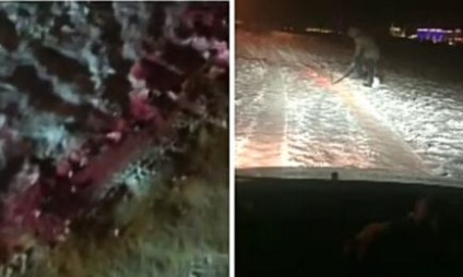 Blagoveschentsy kérte a rendőrséget, hogy vizsgálja meg a mérgezés a kutyák - Amur szolgáltatás (kérésre) Blagoveschentsy kérte a rendőrséget, hogy vizsgálja meg a mérgezés a kutyák - Amur Service