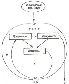 Blochează modelul circulației