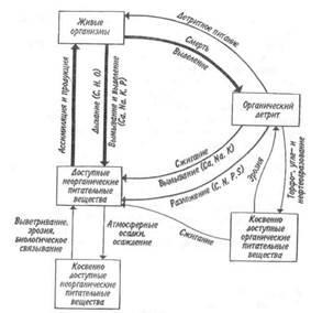 Blochează modelul circulației