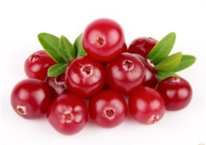 Lingonberry cu prostatita frunze de merișor, culegerea de cimbru de prostatită