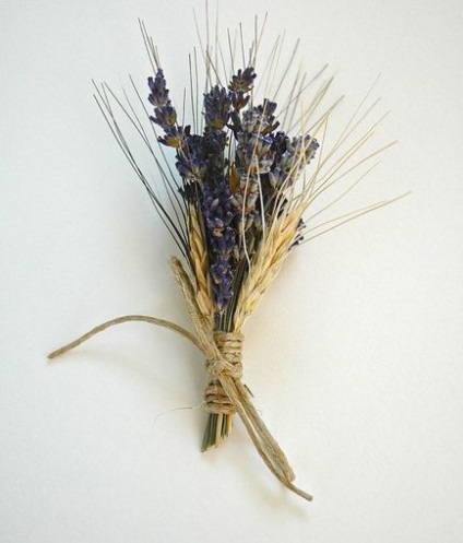Boutonniere a spikelets