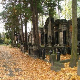 Cimitirul negru Privoroth Principalele semne