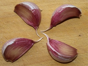 Usturoi - proprietăți utile și tratarea usturoiului