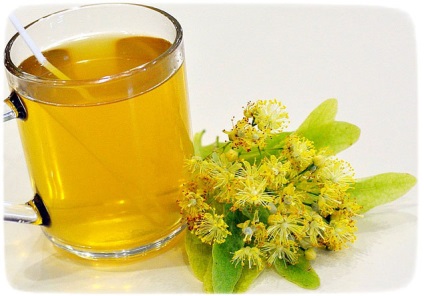 Linden цветя - лечебни свойства и противопоказания добрите рецепти