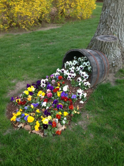 Blossoming garden 17 idei fantastice pentru designul de paturi de flori, care vor deveni o decoratie rafinata a vilei (decorativa) Blossoming garden 17 idei fantastice pentru designul de paturi de flori, care vor deveni o decoratie rafinata a tarii