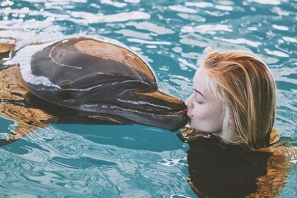 Terapia cu delfinii din Belarus tratează copii bolnavi