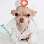Діронет для собак краплі, таблетки, ціна, інструкція із застосування, склад, суспензія, де купити,