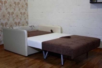 Canapele pentru o cameră de zi cu un loc de dormit - tipuri și forme
