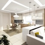 Designul unui living-sufragerie combinat cu o bucătărie într-o casă privată și un proiect de cantină publică