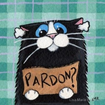 Щоденник кота плінтуса - Кушва блог - регіональний блогових ресурс