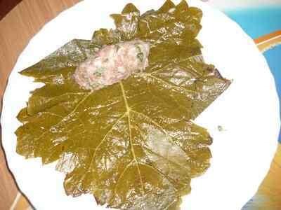 Dolma din frunze de struguri