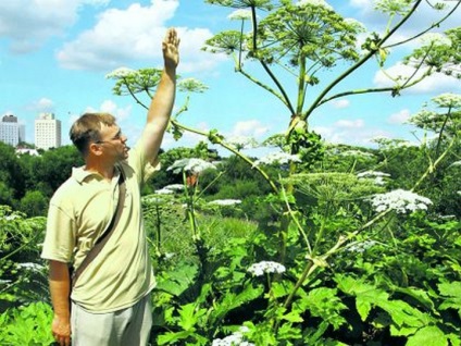 Aceasta este o adevărată armă biologică - curierul Simbirsky