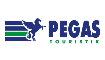 Agenție de turism pegasus franciză
