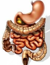 Gastroenterită - simptome și tratament al gastroenteritei