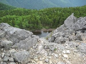 În cazul în care în Teritoriul Primorye este mai bine să se creeze o așezare ecologică, 