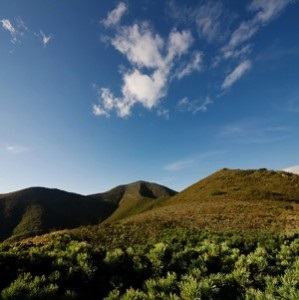 În cazul în care în Teritoriul Primorye este mai bine să se creeze o așezare ecologică, 