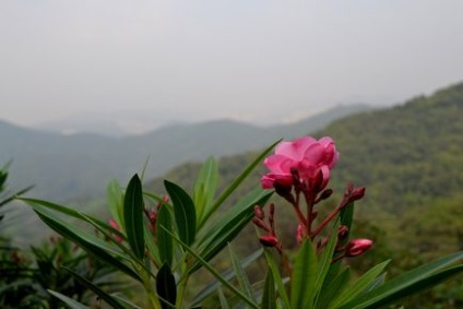 Muntele Baiyun