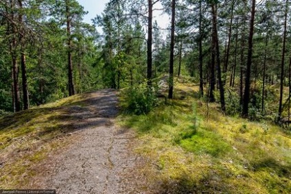 Muntele Sampo, Karelia - cum să obțineți ce să vedeți, fotografie