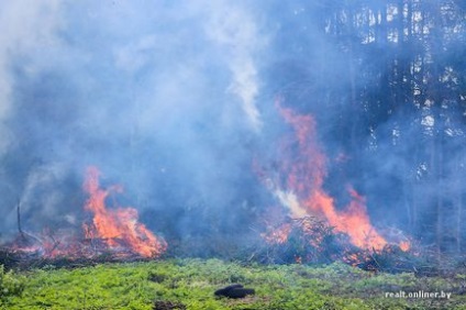 Diapozitivele sunt pregătite pentru fiice