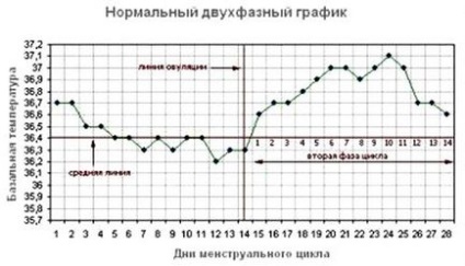 Graficul regulilor de măsurare a temperaturii bazale, fazelor, tipurilor de grafice, planificarea sarcinii