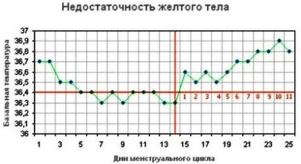 Graficul regulilor de măsurare a temperaturii bazale, fazelor, tipurilor de grafice, planificarea sarcinii
