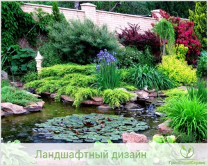 Design peisagistic Greenstroyservice al rezervorului de la compania greenstroyservis (Design al unei cascade artificiale) Design peisagistic Greenstroyservice al rezervorului din clădirea verde a companiei