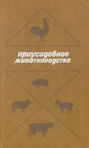 Грузинська жірнохвостих тонкорунна вівці тонкорунних породи м'ясо-вовняне напрямок