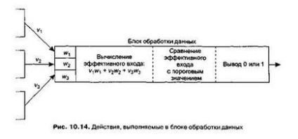 Rețelele neuronale artificiale - stadopedia