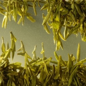 Calitatea ceaiului verde - cum se determină ceaiul premium