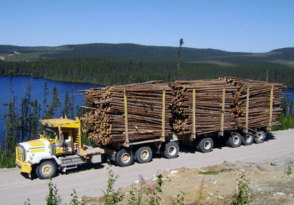 Care masina este mai buna pentru a exporta o padure (Kamaz rus sau o masina straina)