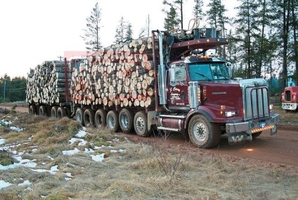 Care masina este mai buna pentru a exporta o padure (Kamaz rus sau o masina straina)