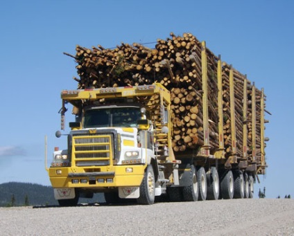 Care masina este mai buna pentru a exporta o padure (Kamaz rus sau o masina straina)