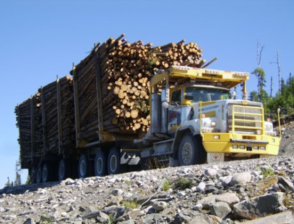 Care masina este mai buna pentru a exporta o padure (Kamaz rus sau o masina straina)