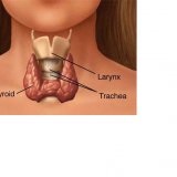 Modul în care bolile glandei tiroide sunt transferate de vârstnici - bisturiu - medical