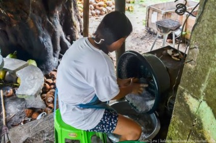 Cum sa faci lapte de nuca de cocos - stiri in fotografii