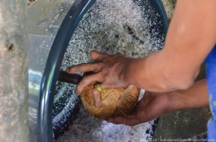 Cum sa faci lapte de nuca de cocos - stiri in fotografii