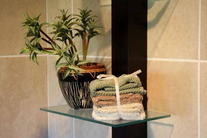 Hogyan válasszuk ki a növények a fürdő szoba ablak nélkül
