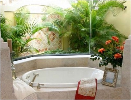 Ce plante să alegeți pentru o baie fără fereastră
