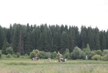 Cum am călătorit în Siberia de Vest