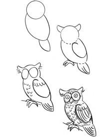 Як намалювати сову поетапно - кілька цікавих способів