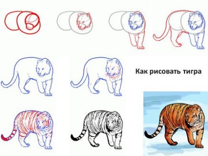 Cum de a desena un tigru în creion pas cu pas pentru copii - cum să atragă un tigru gata să sară, nokki