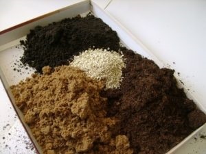 Как да се дезинфекцират почвата за разсад ефективни начини