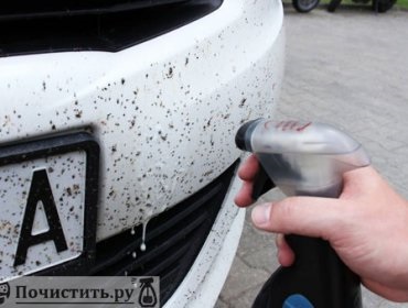 Як очистити комах з автомобіля