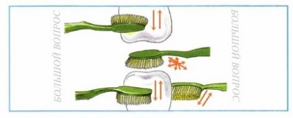 Як показати стрілками руху зубної щітки при чищенні зубів