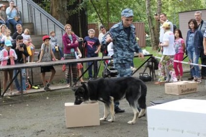 Cum a trecut performanța noastră de divertisment și cognitivă în parcul Goncharovsky - ferma de fermă